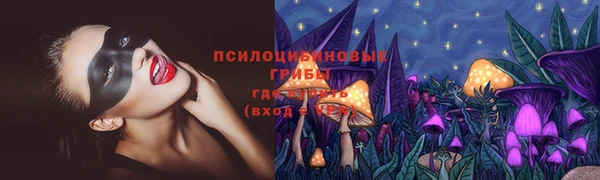 шишки Киренск
