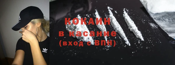 шишки Киренск