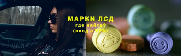сатива Каменногорск