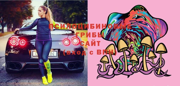 молекула духа Касимов