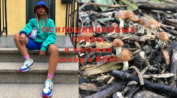 шишки Киренск