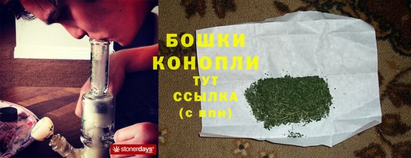 шишки Киренск