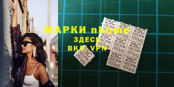 шишки Киренск
