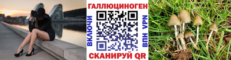 Галлюциногенные грибы MAGIC MUSHROOMS  Княгинино 